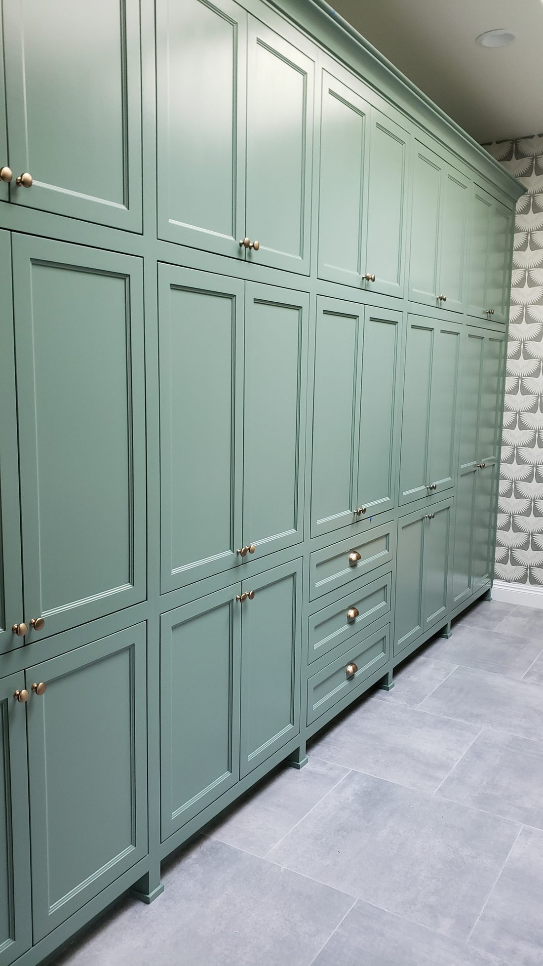 Sage green floor-to-ceiling cabinetry wall with brass hardware and inset doors